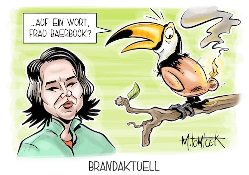 Cartoon: Brandaktuell (medium) by Mirco Tomicek tagged annalena,baerbock,hubertus,heil,amazonas,nordbrasilien,brasilien,regenwald,wald,umwelt,naturschutz,umweltschutz,natur,klima,klimakrise,cartoon,karikatur,pressekarikatur,mirco,tomicek,annalena,baerbock,hubertus,heil,amazonas,nordbrasilien,brasilien,regenwald,wald,umwelt,naturschutz,umweltschutz,natur,klima,klimakrise,cartoon,karikatur,pressekarikatur,mirco,tomicek