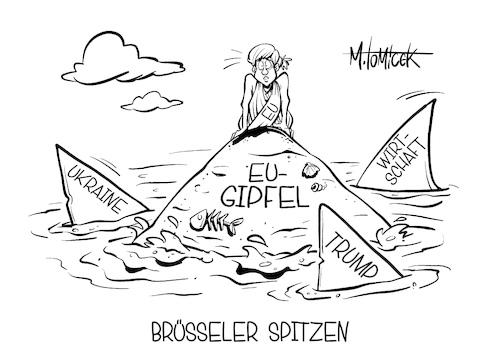 Brüsseler Spitze Brüsseler Spitze