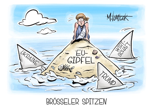 Brüsseler Spitzen Brüsseler Spitzen