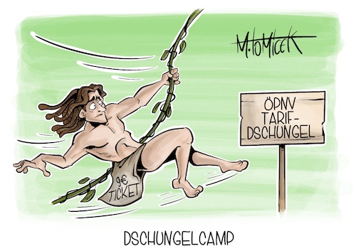 Dschungelcamp Dschungelcamp