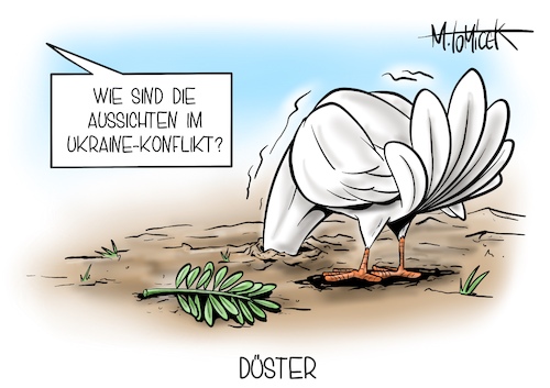 Düster Düster