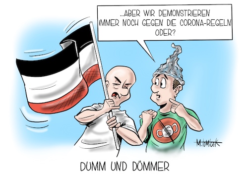 Dumm und Dümmer Dumm und Dümmer