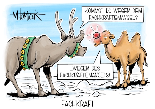 Fachkraft Fachkraft