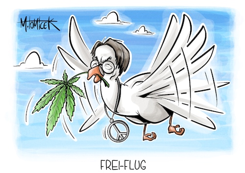 Frei-Flug