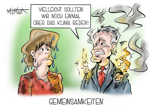Gemeinsamkeiten Gemeinsamkeiten