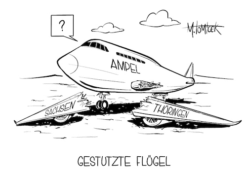 Gestützte Flügel Gestützte Flügel