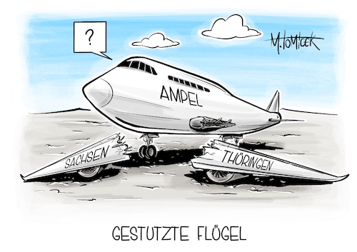 Gestutzte Flügel Gestutzte Flügel