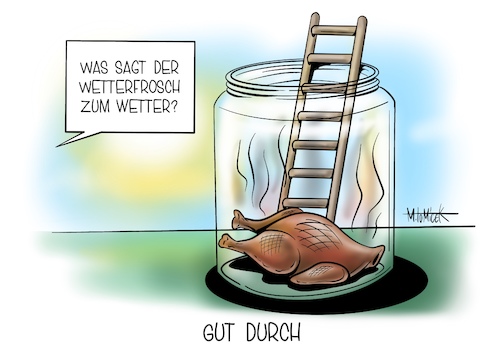 Cartoon: Gut durch (medium) by Mirco Tomicek tagged hitze,hitzewelle,heiß,heißes,wetter,sonne,sommer,hitzefrei,hitzeplan,plan,grüne,wetterfrosch,wettervorhersage,unwetter,wetterwarnung,warnung,welle,sonnenbrand,sonnenstich,garen,sonnenbaden,bad,reise,urlaub,sonnenschein,karikatur,cartoon,mirco,tomicek,hitze,hitzewelle,heiß,heißes,wetter,sonne,sommer,hitzefrei,hitzeplan,plan,grüne,wetterfrosch,wettervorhersage,unwetter,wetterwarnung,warnung,welle,sonnenbrand,sonnenstich,garen,sonnenbaden,bad,reise,urlaub,sonnenschein,karikatur,cartoon,mirco,tomicek