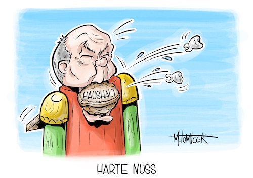 Harte Nuss Harte Nuss