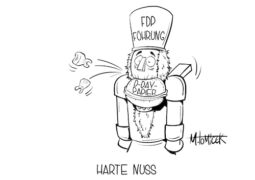Harte Nuss Harte Nuss