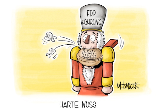 Harte Nuss Harte Nuss