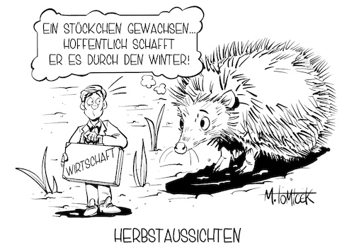 Herbstaussichten Herbstaussichten