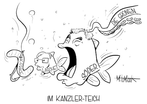 Im Kanzler-Teich Im Kanzler-Teich