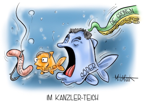 Im Kanzler-Teich Im Kanzler-Teich