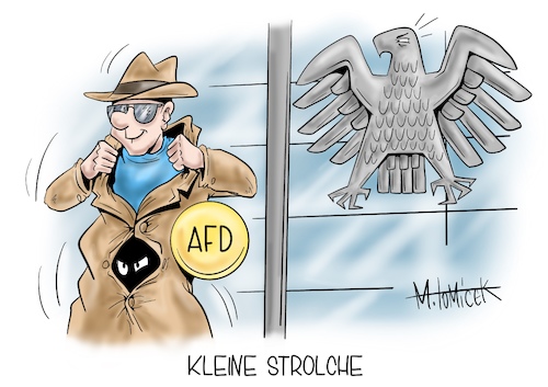 Kleine Strolche Kleine Strolche
