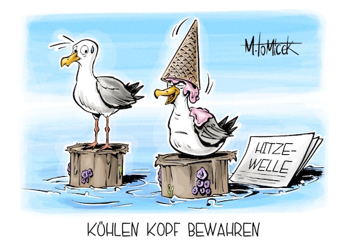 Cartoon: Kühlen Kopf bewahren (medium) by Mirco Tomicek tagged hitzewelle,hitze,sommerhitze,sonne,warm,wärme,extrem,wetter,sommerwetter,hitzewarnung,schutzmaßnahmen,kühlen,kühl,abkühlen,eis,hitzerekord,sonnig,wetterlage,möwen,möwe,cartoon,karikatur,pressekarikatur,mirco,tomicek,hitzewelle,hitze,sommerhitze,sonne,warm,wärme,extrem,wetter,sommerwetter,hitzewarnung,schutzmaßnahmen,kühlen,kühl,abkühlen,eis,hitzerekord,sonnig,wetterlage,möwen,möwe,cartoon,karikatur,pressekarikatur,mirco,tomicek