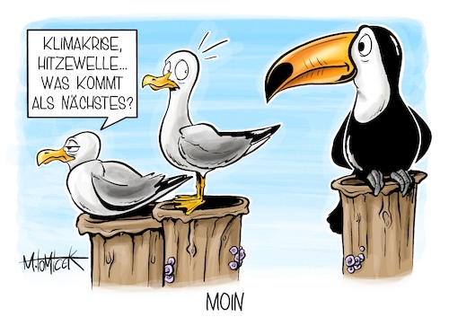 Moin Moin