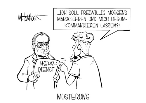 Musterung Musterung
