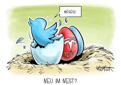 Neu im Nest? Neu im Nest?