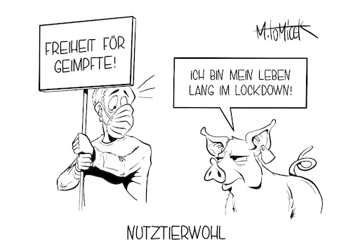 Nutztierwohl