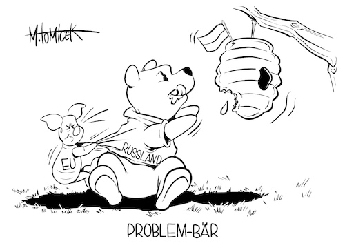 Problem-Bär