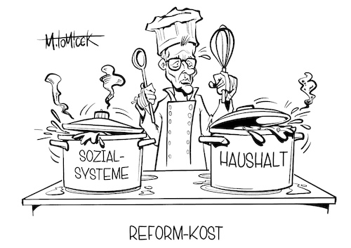 Reform-Kost Reform-Kost