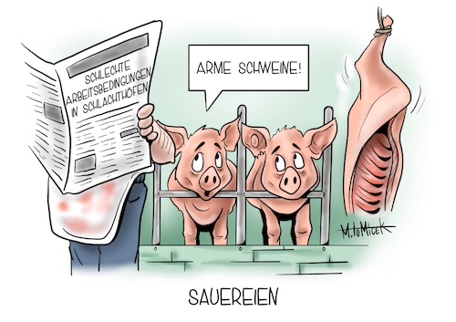 Sauereien Sauereien