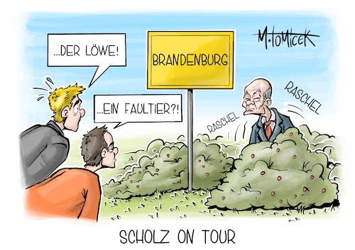 Cartoon: Scholz on Tour (medium) by Mirco Tomicek tagged olaf,scholz,sommerreise,reise,sommer,spd,bundestag,bundestagsabgeordneter,bundeskanzler,brandenburg,löwe,tiere,cartoon,pressekarikatur,karikatur,mirco,tomicek,olaf,scholz,sommerreise,reise,sommer,spd,bundestag,bundestagsabgeordneter,bundeskanzler,brandenburg,löwe,tiere,cartoon,pressekarikatur,karikatur,mirco,tomicek