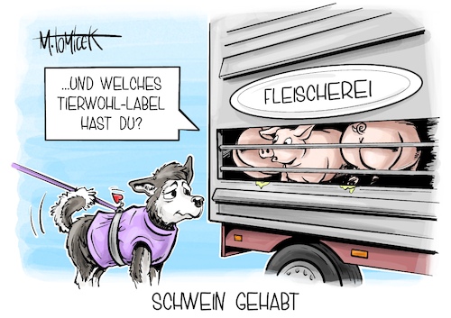 Schwein gehabt