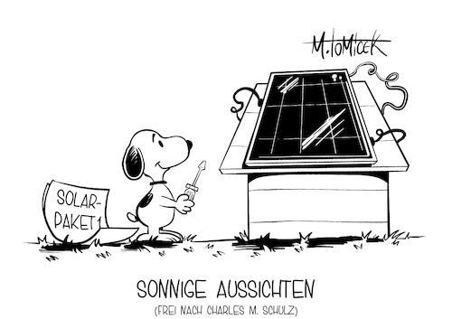 Sonnige Aussichten