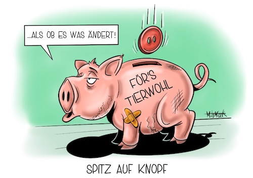 Cartoon: Spitz auf Knopf (medium) by Mirco Tomicek tagged sondersitzung,tierwohl,tier,wohl,tierschutz,tiere,schwein,schweine,kühe,kuh,schnitze,kompetenznetzwerk,bundesagrarministers,jochen,borchert,cdu,kommission,fleisch,wurst,preis,fleischpreis,bundeslandwirtschaftsministerin,tierprodukte,cartoon,karikatur,mirco,tomicek,sondersitzung,tierwohl,tier,wohl,tierschutz,tiere,schwein,schweine,kühe,kuh,schnitze,kompetenznetzwerk,bundesagrarministers,jochen,borchert,cdu,kommission,fleisch,wurst,preis,fleischpreis,bundeslandwirtschaftsministerin,tierprodukte,cartoon,karikatur,mirco,tomicek