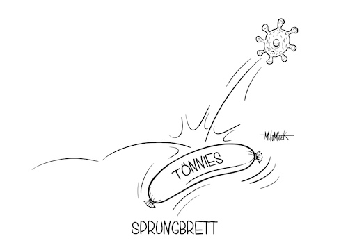 Sprungbrett Sprungbrett