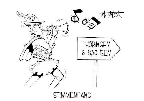 Stimmenfang Stimmenfang