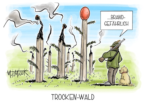 Trocken-Wald Trocken-Wald