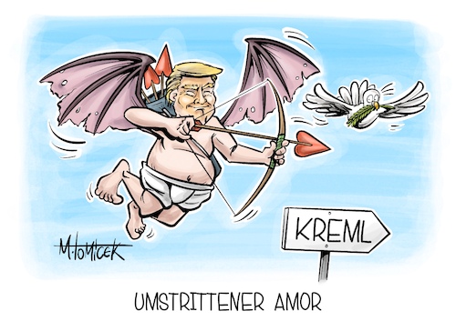 Umstrittener Amor Umstrittener Amor