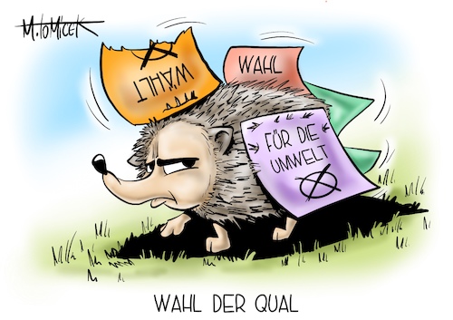 Wahl der Qual Wahl der Qual