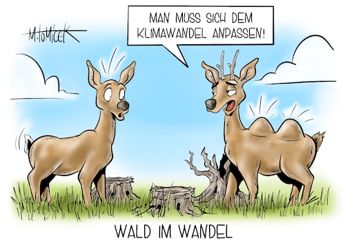 Wald im Wandel Wald im Wandel