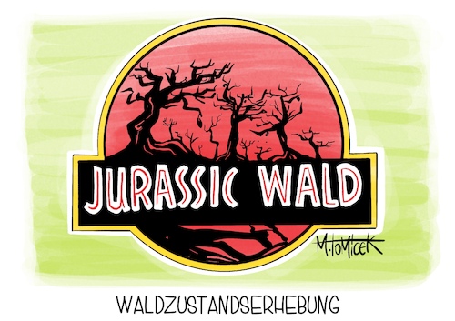 Waldzustandserhebung Waldzustandserhebung