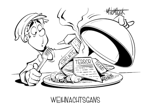 Weihnachtsgans Weihnachtsgans