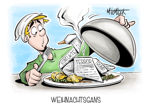 Weihnachtsgans Weihnachtsgans