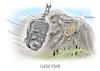 Cartoon: Showdown (small) by Mirco Tomicek tagged joe,biden,showdown,nominierung,partei,parteitag,us,usa,demokraten,kamala,harris,donald,trump,wahlkampf,wahl,präsident,präsidentschaftswahl,mount,rushmore,2020,election,cartoon,karikatur,mirco,tomicek