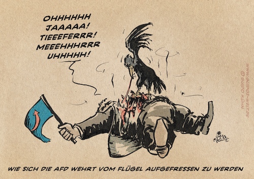 Cartoon: Flügelabwehr (medium) by Guido Kuehn tagged flügel,afd,meuthen,gauland,kalbitz,höcke,sachsen,nazis,neonazis,flügel,afd,meuthen,gauland,kalbitz,höcke,sachsen,nazis,neonazis