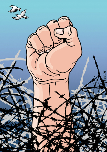 Freedom Freedom