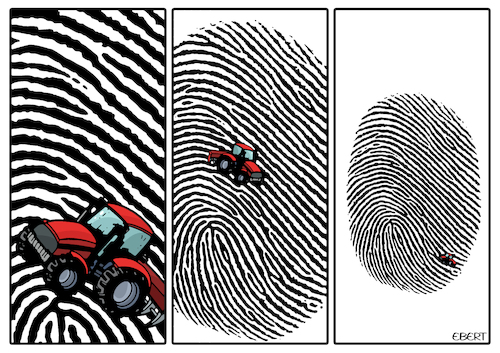 Identity Identity
