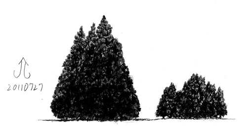 Cartoon: Tree (medium) by Teruo Arima tagged tree,plant,chinko,manko,three