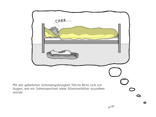 Cartoon: Diesmal ohne Böller (medium) by Birtoon tagged silvester,feuerwerk