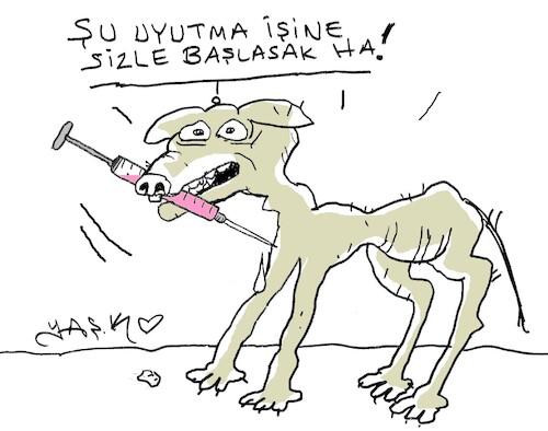 Cartoon: dogs will be put to sleep (medium) by yasar kemal turan tagged dogs,will,be,put,to,sleep