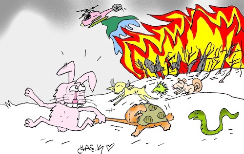 Cartoon: Izmir (medium) by yasar kemal turan tagged izmir