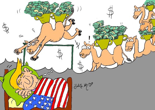 Cartoon: real dreams (medium) by yasar kemal turan tagged real,dreams