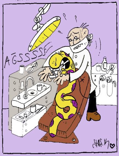 Cartoon: snake and dentist (medium) by yasar kemal turan tagged dentist,and,snake